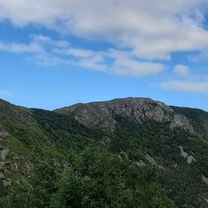 Meet your Posher, Vicky